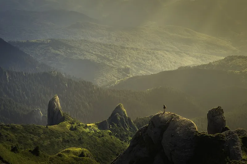 Engineered Emptiness: How Platforms Profit From the Moment You Feel Most Alone